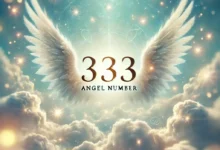 333 angel number