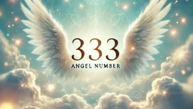 333 angel number